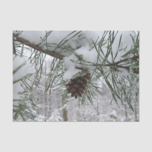 Snowy Pine Branch Winter Nature Photography Tissue Paper