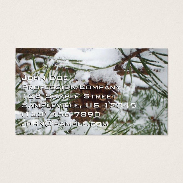 Snowy Pine Cone I (Devant)