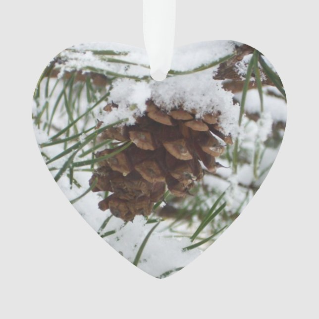 Snowy Pine Cone I (devant)