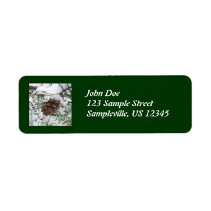 Snowy Pine Cone I