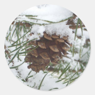 Snowy Pine Cone I Winter Nature Photography Classic Round Sticker