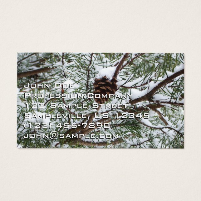 Snowy Pine Cône II hiver Photographie de la nature (Devant)