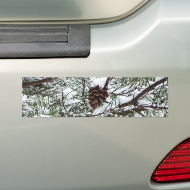 Snowy Pine Cone II Winter Nature Photography Bumper Sticker (On Car)