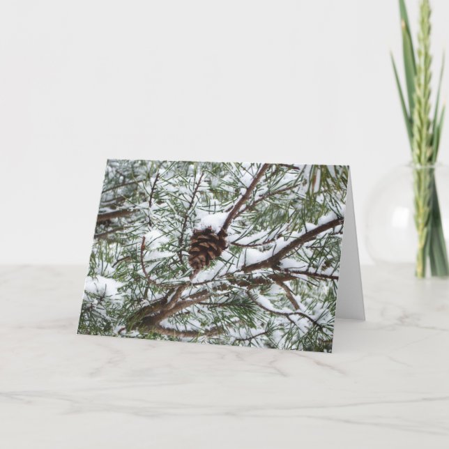 Snowy Pine Cone II Winter Nature Photography Card (Front)