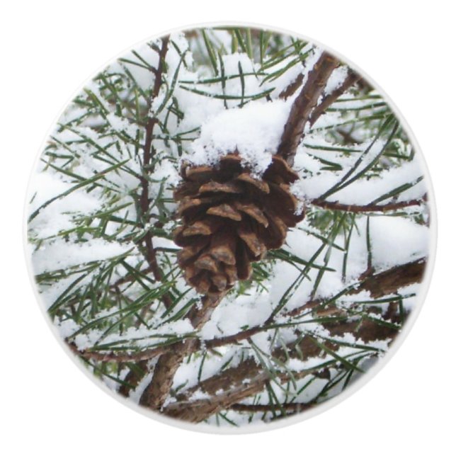 Snowy Pine Cone II Winter Nature Photography Ceramic Knob (Front)