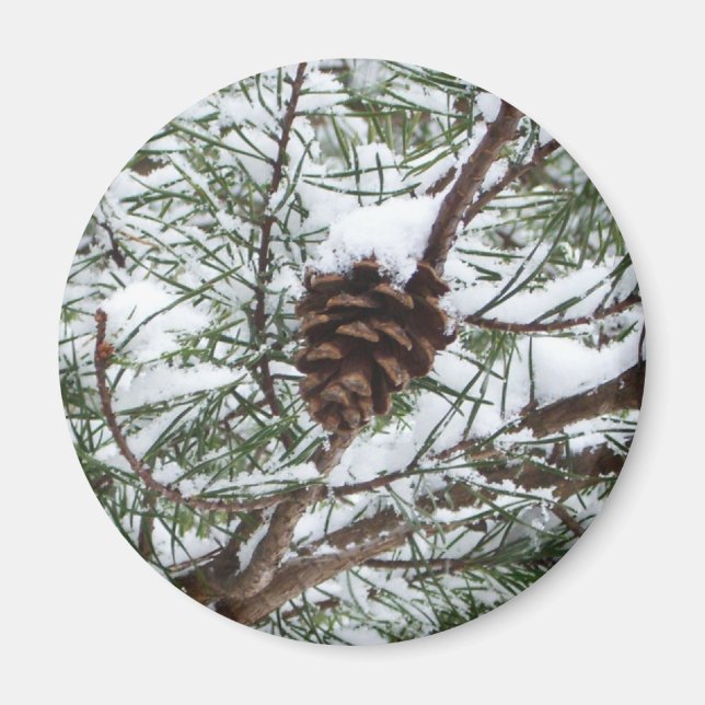 Snowy Pine Cone II Winter Nature Photography Magnet (Front)