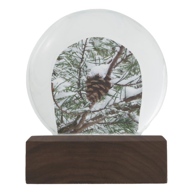 Snowy Pine Cone II Winter Nature Photography Snow Globe (Front)