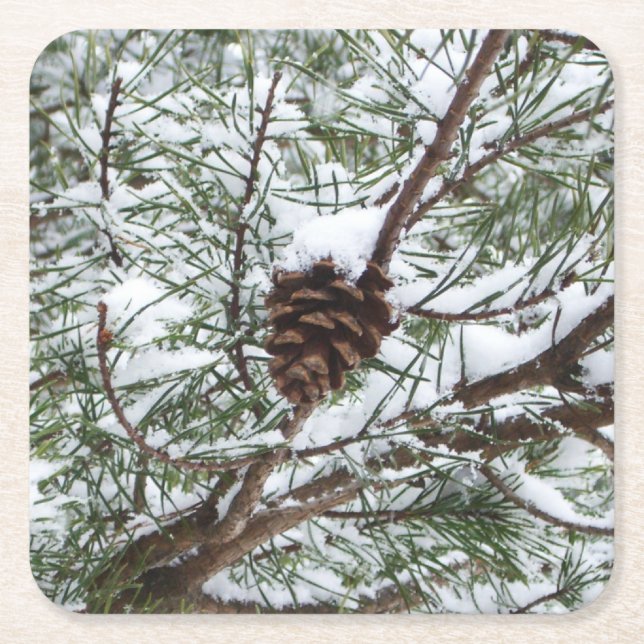 Snowy Pine Cone II Winter Nature Photography Square Paper Coaster (Front)