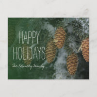 Snowy pine cones