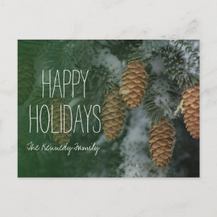Snowy pine cones holiday postcard