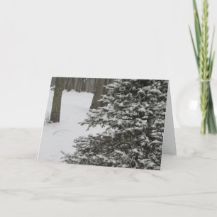 Snowy Pine Holiday Card