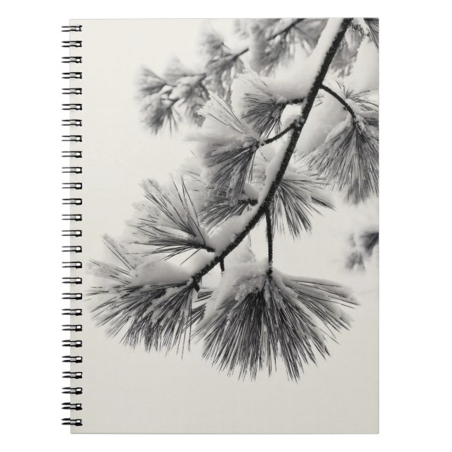 Snowy Pine Needle Branch Notebook (Front)