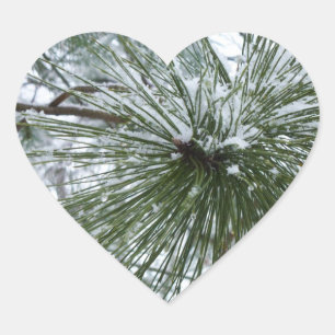 Snowy Pine Needles Winter Nature Photography Heart Sticker