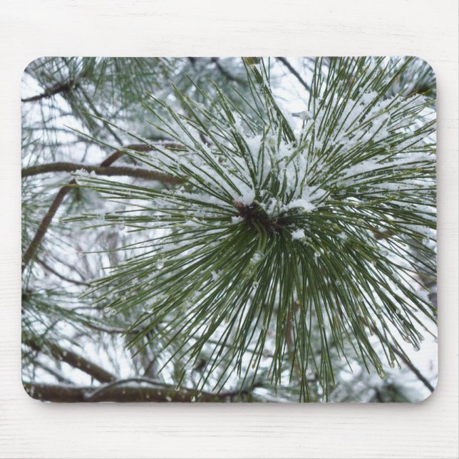 Snowy Pine Needles Winter Nature Photography Mouse Pad (Front)