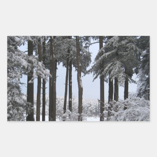 Snowy Pines in Blue Light --- Sticker