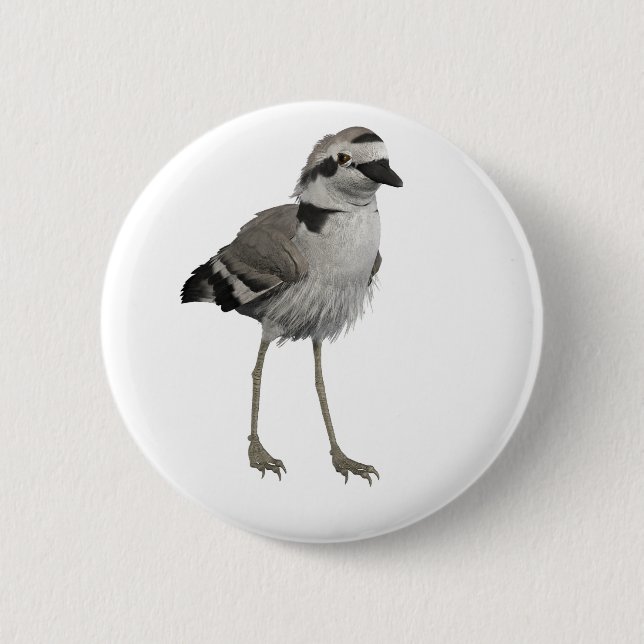 Snowy Plover 2 Inch Round Button (Front)