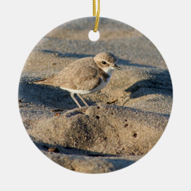 Snowy Plover Ceramic Ornament (Front)