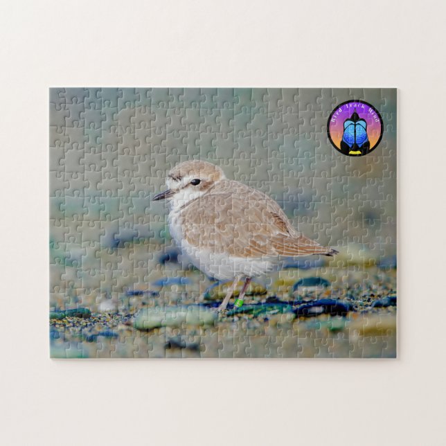 Snowy Plover Jigsaw Puzzle (Horizontal)