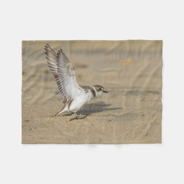 Snowy Plover Stretch Fleece Blanket (Front (Horizontal))