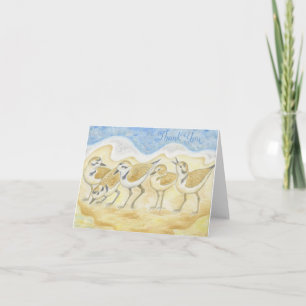 Snowy Plover thank you notecard