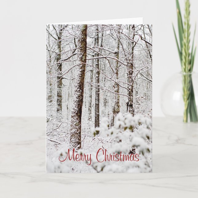 Snowy Pocono Woodlands Christmas Card (Front)