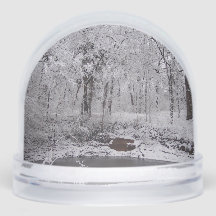 Snowy Pond Snow Globe