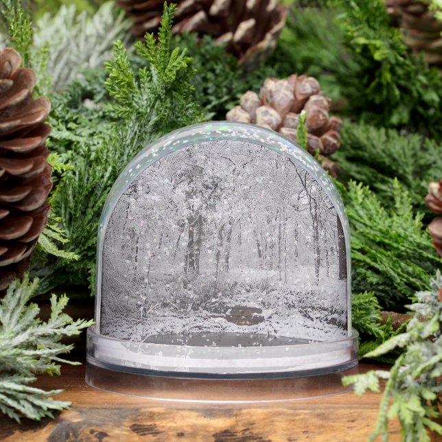 Snowy Pond Snow Globe (Winter)