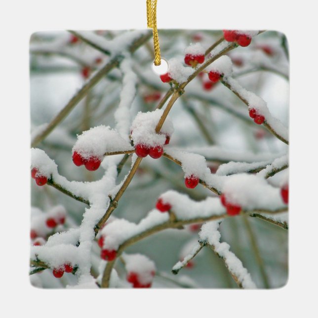 Snowy Red Berries Winter Scene Ceramic Ornament (Front)