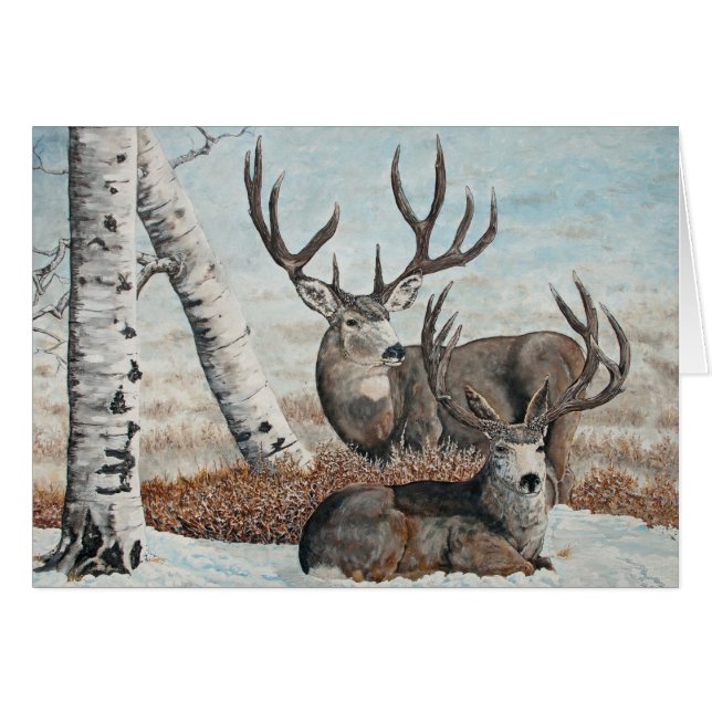 Snowy ridge bucks (Front Horizontal)