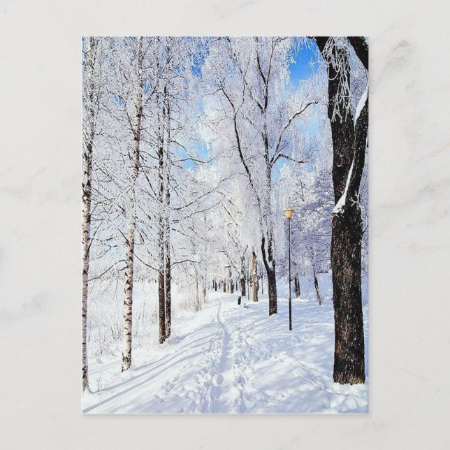 Snowy Road Postcard (Front)