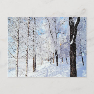 Snowy Road Postcard