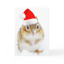 Snowy Santa Chipmunk