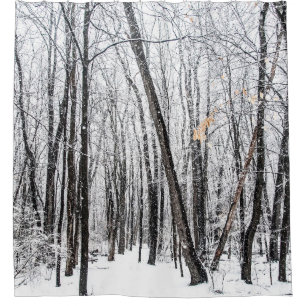 Snowy Scene in Woodland Michigan
