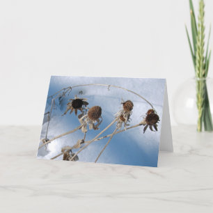 Snowy Seed Heads Card
