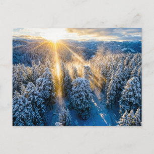 Snowy spruce forest from aerial view postcard