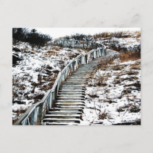 Snowy Staircase Postcard