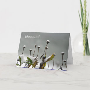 Snowy Stems Christmas Card