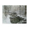 Snowy Stream Post Card Personalized Christmas