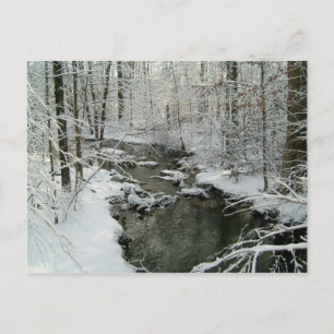 Snowy Stream Post Card Personalized Christmas