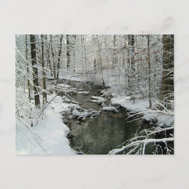 Snowy Stream Post Card Personalized Christmas (Front)