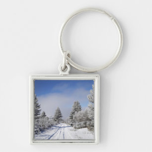 Snowy Track and Pine Trees, Cambrians, near St Keychain