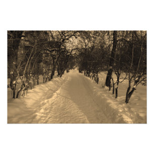 Snowy track with trees in sepia photo print