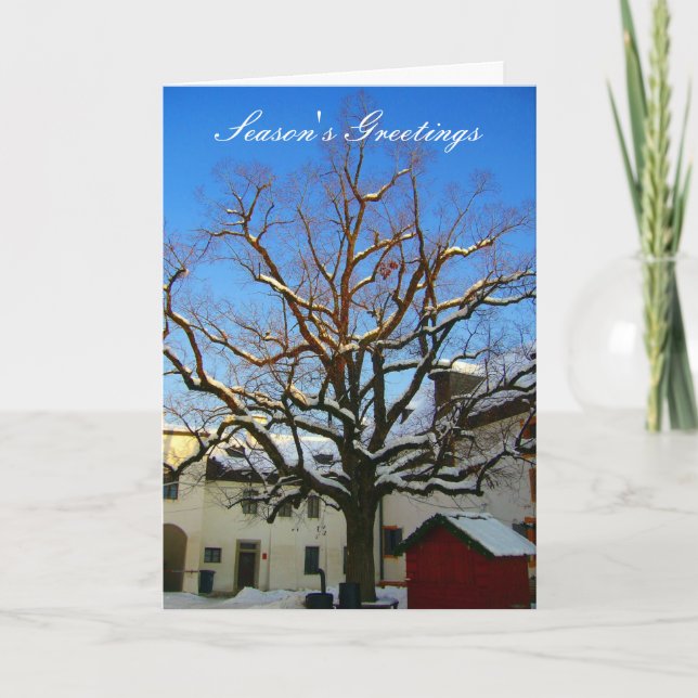 snowy tree greetings holiday card (Front)