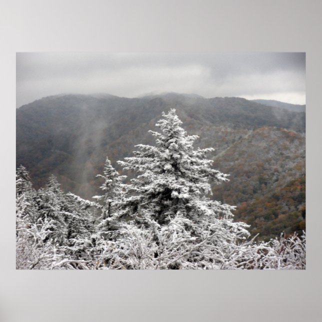Snowy Tree Poster (Front)