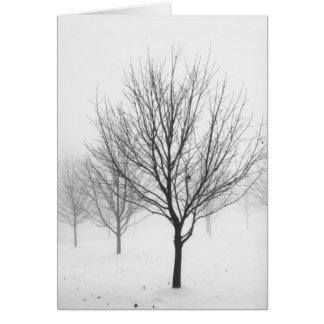 Snowy Trees (Blank)