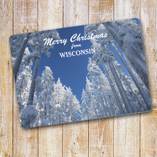 Snowy Trees from Wisconsin Photo Template