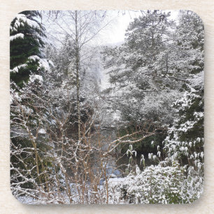 Snowy Trees Hard Plastic Coaster