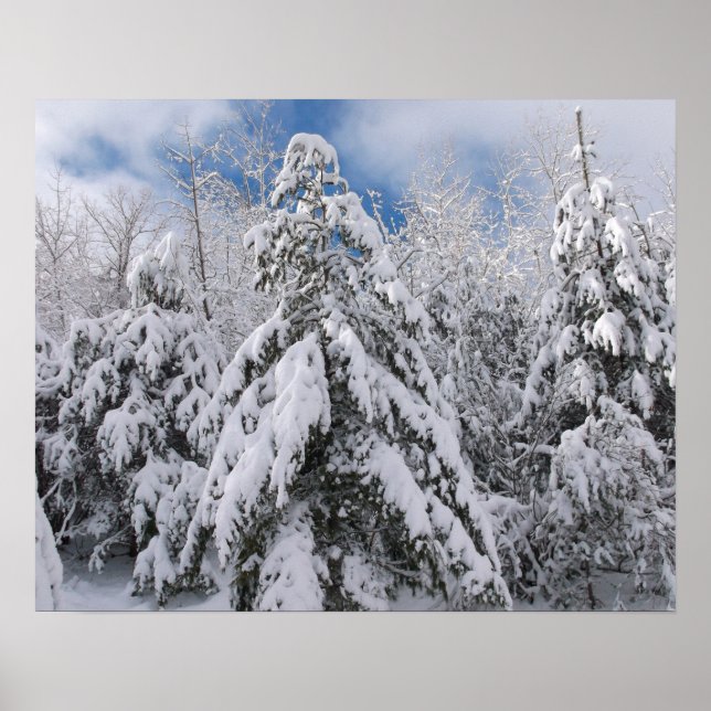 Snowy Trees Poster (Front)