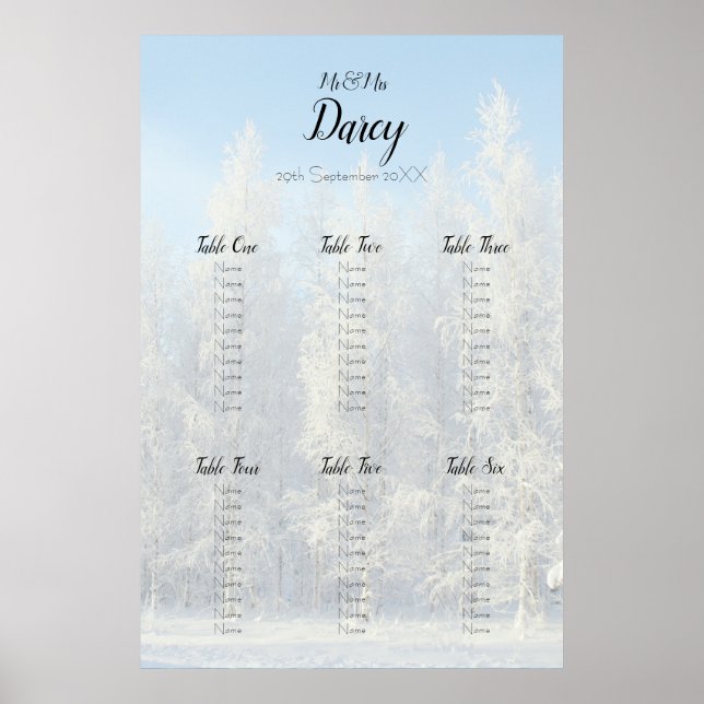 Snowy Trees Seating Chart (Front)