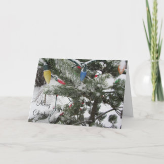 Snowy Trees with Christmas Lights Holiday Card